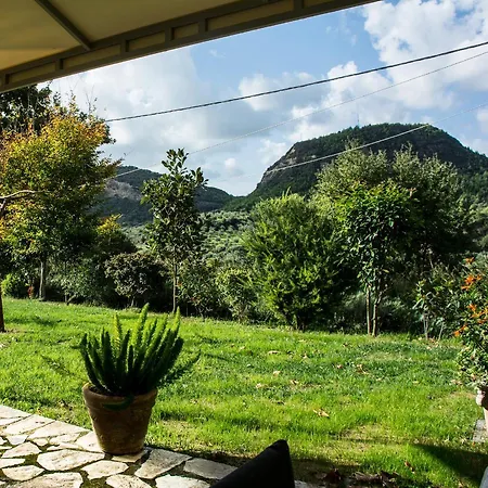 Estia Apartment