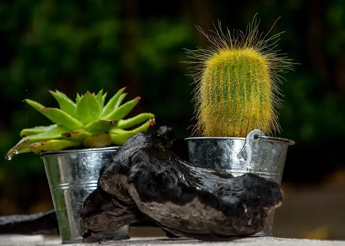 Estia * Ancient Olympia